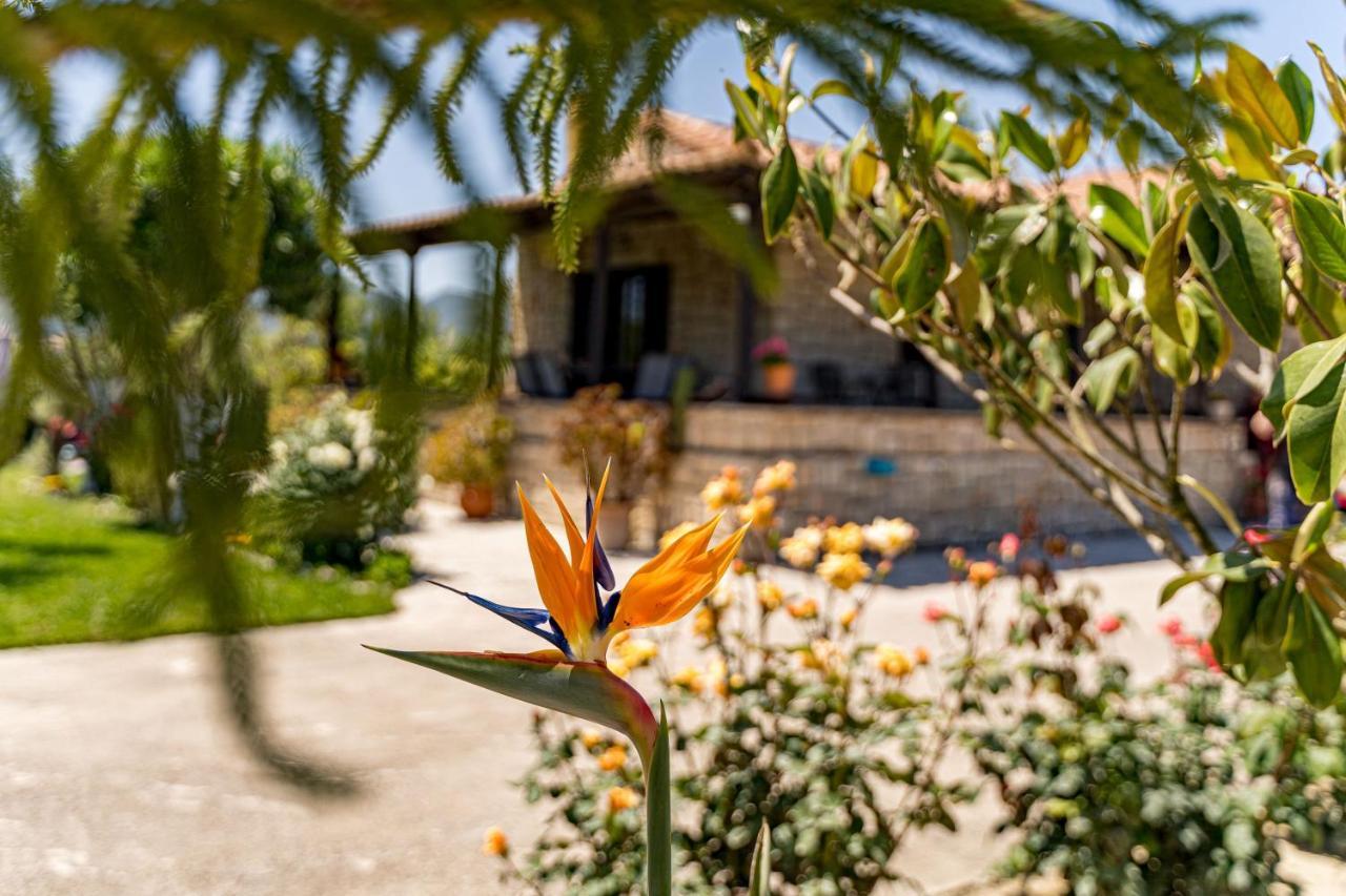 Kalipádhon Varta Village - Elea House מראה חיצוני תמונה